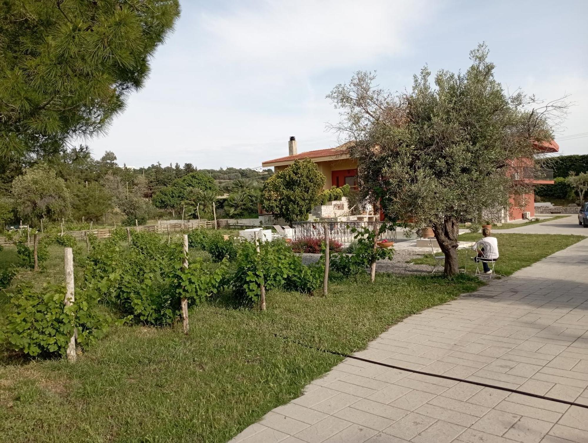 Emarmene Home With Private Pool Near Rhodes Town & Airport Koskinou  Luaran gambar